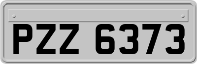 PZZ6373