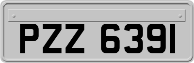 PZZ6391