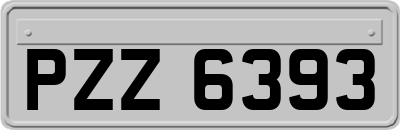 PZZ6393