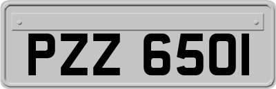 PZZ6501