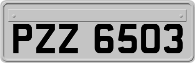 PZZ6503