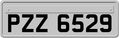 PZZ6529