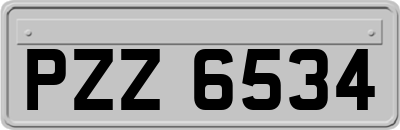 PZZ6534