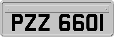 PZZ6601