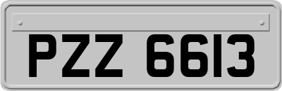 PZZ6613