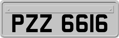 PZZ6616