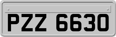 PZZ6630