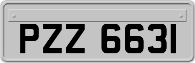 PZZ6631