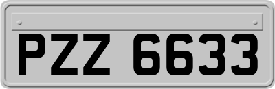 PZZ6633