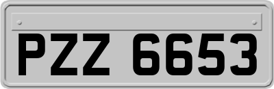 PZZ6653