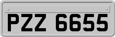 PZZ6655