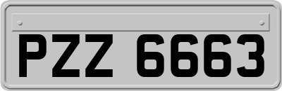 PZZ6663