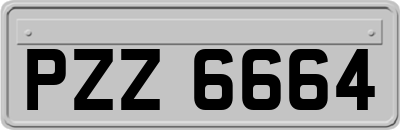 PZZ6664