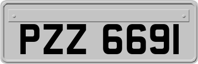 PZZ6691