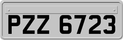 PZZ6723