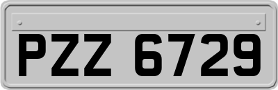 PZZ6729