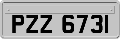 PZZ6731