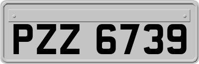 PZZ6739