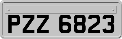 PZZ6823