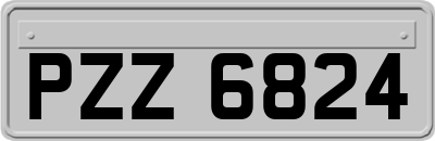 PZZ6824