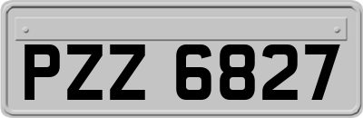 PZZ6827