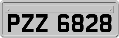 PZZ6828