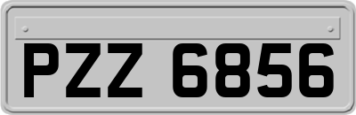 PZZ6856