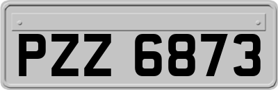 PZZ6873