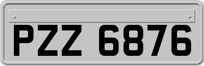 PZZ6876