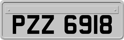 PZZ6918