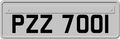 PZZ7001