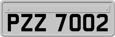 PZZ7002