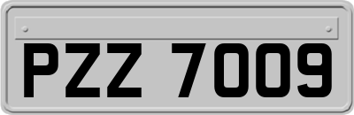 PZZ7009