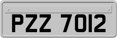 PZZ7012