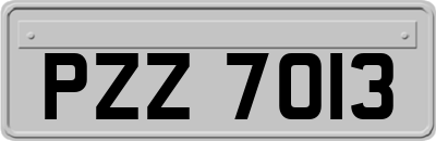 PZZ7013