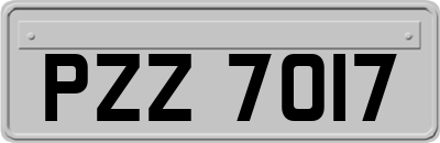 PZZ7017