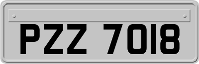 PZZ7018