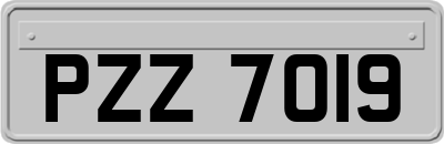 PZZ7019