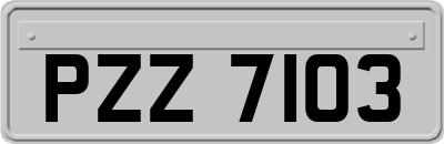 PZZ7103