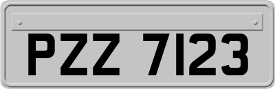 PZZ7123