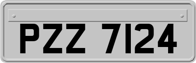 PZZ7124