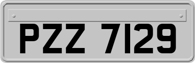 PZZ7129