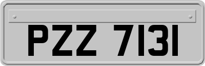 PZZ7131