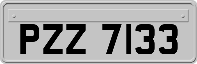 PZZ7133