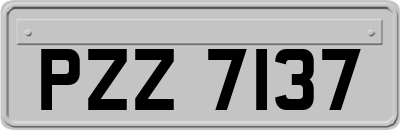 PZZ7137