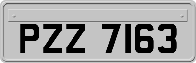 PZZ7163