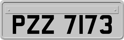 PZZ7173