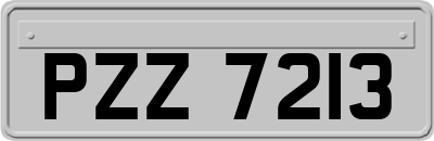 PZZ7213