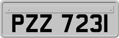 PZZ7231