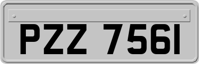 PZZ7561